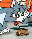 Tom and Jerry Workshop 6 Diff